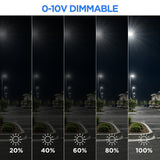 Demonstration of 0-10V dimming capability with brightness levels from 20% to 100% for the UpgradeToLED commercial LED shoebox parking lot light.