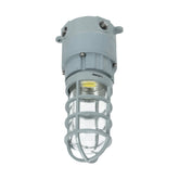27W LED Explosion-Proof Jelly Jar Light, Class I Div 2 Hazardous Location, 2,700 Lumens, 5000K, 120-277V AC, 0-10V Dimmable, Industrial Cage Fixture, Surface Mount