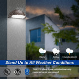 LED Half Moon Wall Pack operating outdoors in rainy weather with IP65 wet location protection, ideal for commercial buildings, entrances, warehouses, and exterior security lighting.