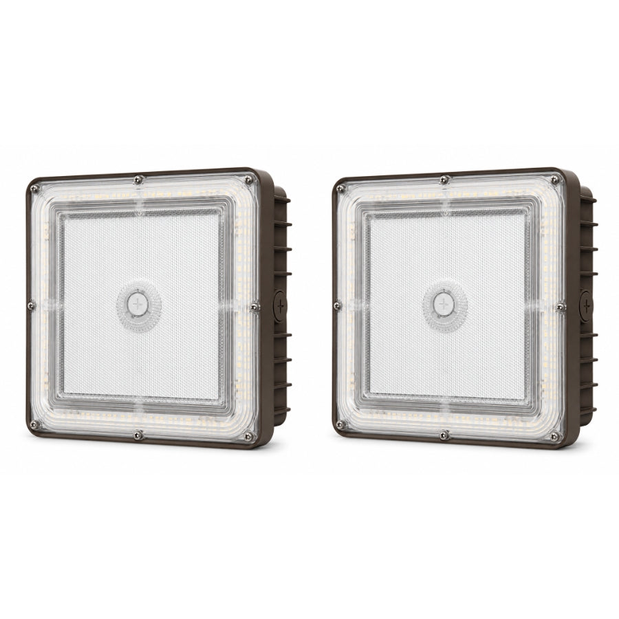 Two square outdoor LED light fixtures with clear diffusers and dark metal housings, shown side by side on a white background.