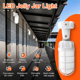 21W Vapor Tight LED Jelly Jar Light, Caged Ceiling & Wall Mount Utility Light, 2,562 Lumens, 5000K Daylight White, IP65 Waterproof, UL/cUL Certified, 120-277 VAC, Commercial & Industrial Lighting Fixture, 5-Year Warranty