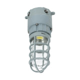 27W LED Explosion-Proof Jelly Jar Light, Class I Div 2 Hazardous Location, 2,700 Lumens, 5000K, 120-277V AC, 0-10V Dimmable, Industrial Cage Fixture, Surface Mount