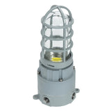 27W LED Explosion-Proof Jelly Jar Light, Class I Div 2 Hazardous Location, 2,700 Lumens, 5000K, 120-277V AC, 0-10V Dimmable, Industrial Cage Fixture, Surface Mount