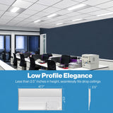 Modern office interior with desks, chairs, and a printer against a blue wall.